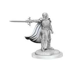 D&D Nolzur's Marvelous Miniatures: Death Knights