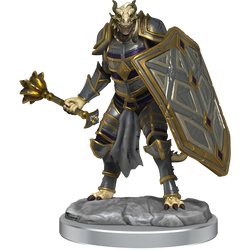 D&D Nolzur's Marvelous Miniatures: Dragonborn Clerics
