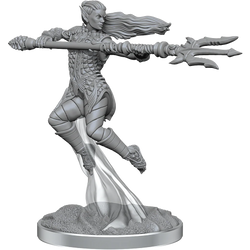 D&D Nolzur's Marvelous Miniatures: Sea Elf Fighters
