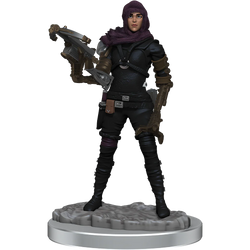 WizKids Deep Cuts: Human Rogues