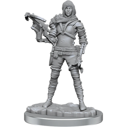 WizKids Deep Cuts: Human Rogues