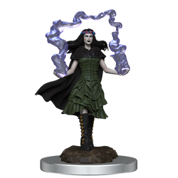 D&D Nolzur's Marvelous Miniatures: Dark Spellcaster & Flameskulls