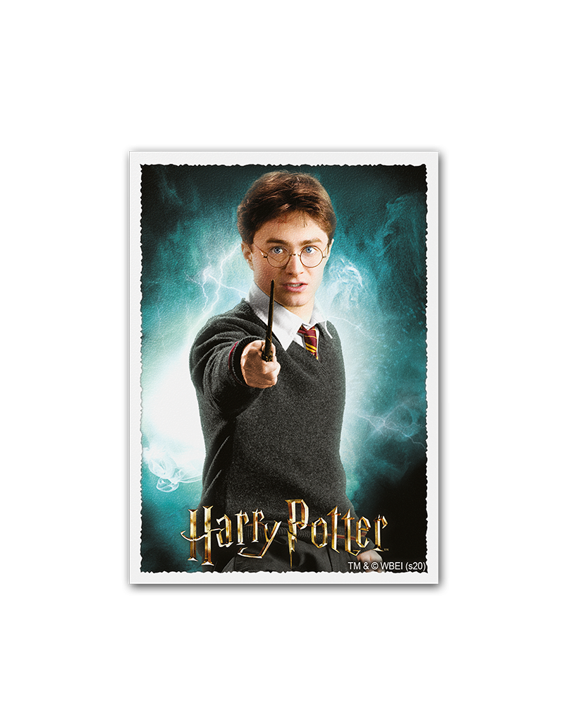 Harry Potter | Art Matte – 100 Standard Size