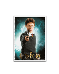 Harry Potter | Art Matte – 100 Standard Size