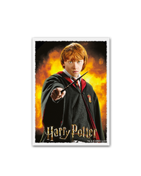 Ron Weasley | Art Matte – 100 Standard Size