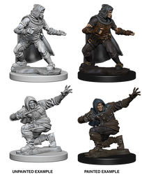 Pathfinder Deep Cuts Unpainted Miniatures: Human Male Rogue