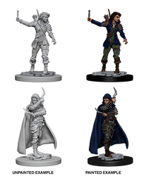 Pathfinder Battles Deep Cuts Unpainted Miniatures: Human Female Rogue