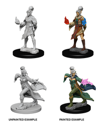 Pathfinder Battles Deep Cuts Unpainted Miniatures: Elf Female Sorcerer