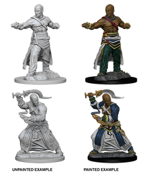 Pathfinder Deep Cuts Unpainted Miniatures: Human Male Monk