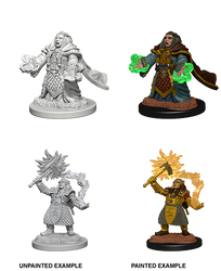 D&D Nolzur's Marvelous Miniatures: Dwarf Cleric Male