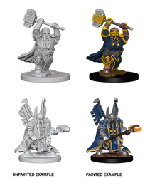 D&D Nolzur's Marvelous Miniatures: Dwarf Male Paladin