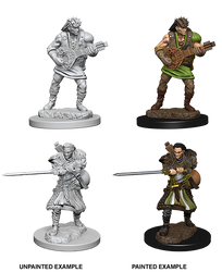 D&D Nolzur's Marvelous Miniatures: Human Male Bard