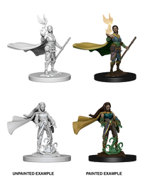 D&D Nolzur's Marvelous Miniatures: Elf Female Druid