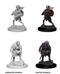 D&D Nolzur's Marvelous Miniatures: Drow