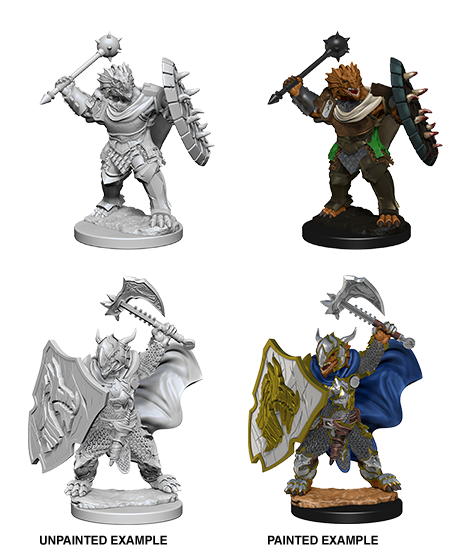 D&D Nolzur's Marvelous Miniatures: Dragonborn Male Paladin