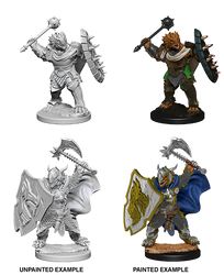 D&D Nolzur's Marvelous Miniatures: Dragonborn Male Paladin