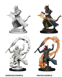 D&D Nolzur's Marvelous Miniatures: Tiefling Male Sorcerer