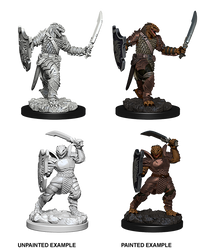 D&D Nolzur's Marvelous Miniatures: Dragonborn Female Paladin