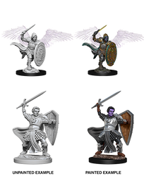 D&D Nolzur's Marvelous Miniatures: Aasimar Paladin (Male)