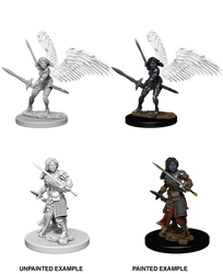 D&D Nolzur's Marvelous Miniatures: Aasimar Paladin (Female)