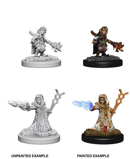 D&D Nolzur's Marvelous Miniatures: Female Gnome Wizard