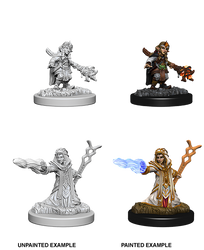 D&D Nolzur's Marvelous Miniatures: Female Gnome Wizard