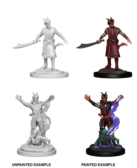 D&D Nolzur's Marvelous Miniatures: Male Tiefling Warlock