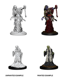 D&D Nolzur's Marvelous Miniatures: Green Hag & Night Hag