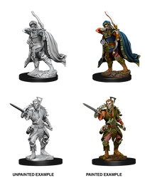 D&D Nolzur's Marvelous Miniatures - Male Elf Rogue