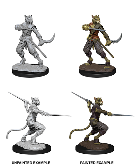 D&D Nolzur's Marvelous Miniatures - Male Tabaxi Rogue