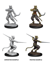 D&D Nolzur's Marvelous Miniatures - Male Tabaxi Rogue
