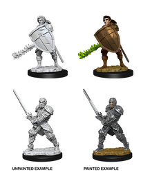 D&D Nolzur's Marvelous Miniatures - Male Human Fighter