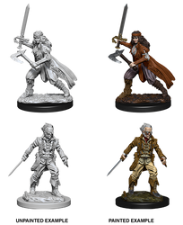 D&D Nolzur's Marvelous Miniatures - Vampire Hunters