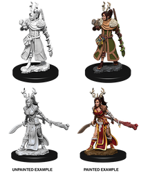 D&D Nolzur's Marvelous Miniatures - Female Human Druid