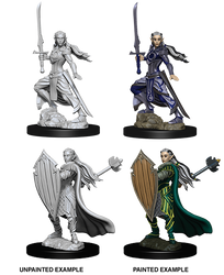 D&D Nolzur's Marvelous Miniatures - Female Elf Paladin