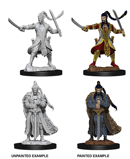 D&D Nolzur's Marvelous Miniatures - Male Elf Paladin