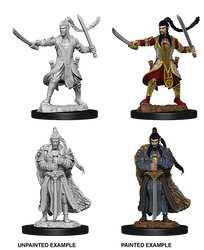 D&D Nolzur's Marvelous Miniatures - Male Elf Paladin