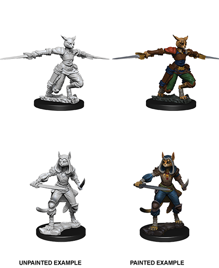 D&D Nolzur's Marvelous Miniatures - Female Tabaxi Rogue