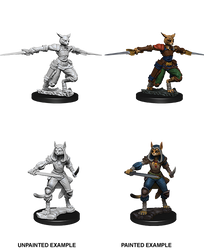 D&D Nolzur's Marvelous Miniatures - Female Tabaxi Rogue