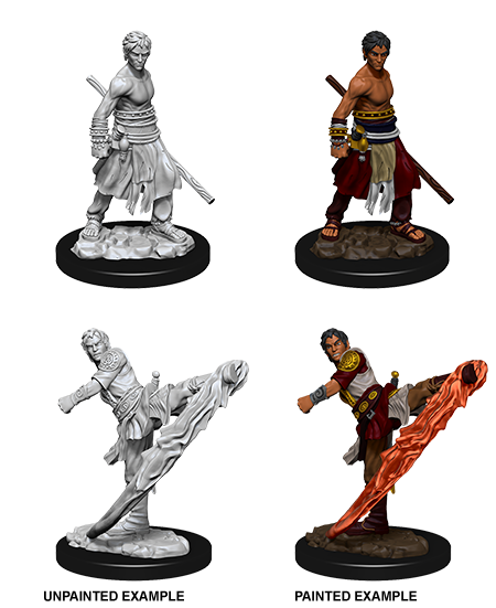 D&D Nolzur's Marvelous Miniatures - Male Half-Elf Monk