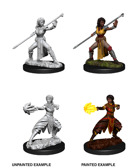 D&D Nolzur's Marvelous Miniatures - Female Half-Elf Monk