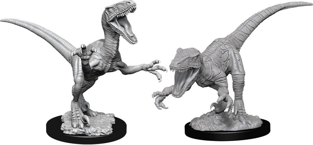 Wizkids Deep Cuts: Raptors