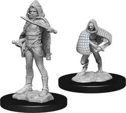 D&D Nolzur's Marvelous Miniatures: Darkling Elder & Darklings