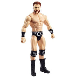 WWE Basic Action Figure (Series 116)
