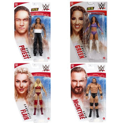 WWE Basic Action Figure (Series 122)
