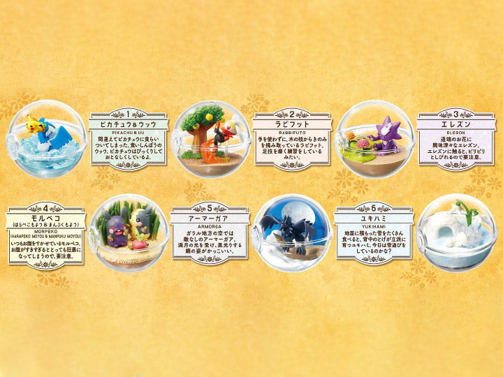 Rement Pokemon Terrarium Collection EX Galar Region Vol.2 (Box of 6)