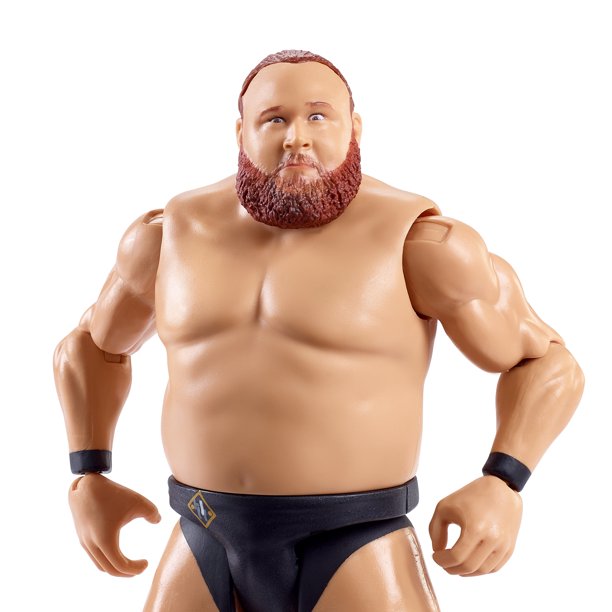 WWE Basic Action Figure (Series 117)