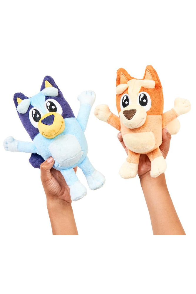 Bluey Friends
